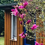 Tiny House Bei Mardorf Am Steinhuder *