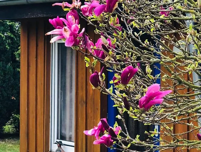 Tiny House Bei Mardorf Am Steinhuder *